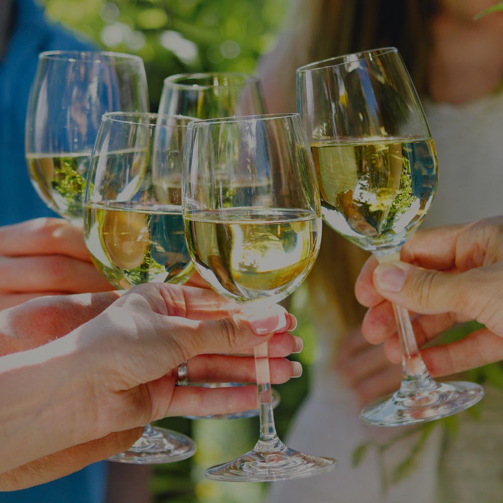 bioweingut weiss beate und erik gols neusiedlersee weisswein