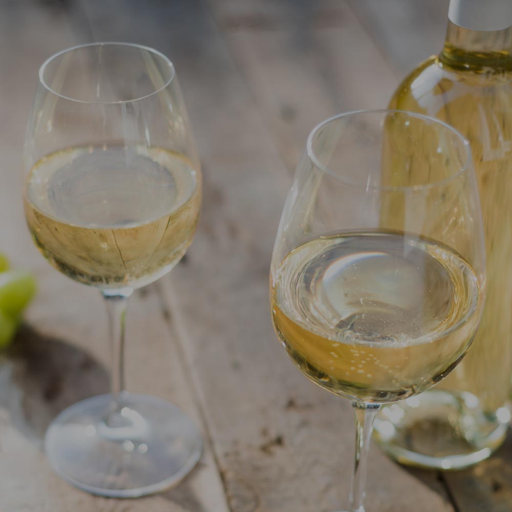 bioweingut weiss beate und erik gols neusiedlersee